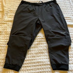 Patagonia joggers